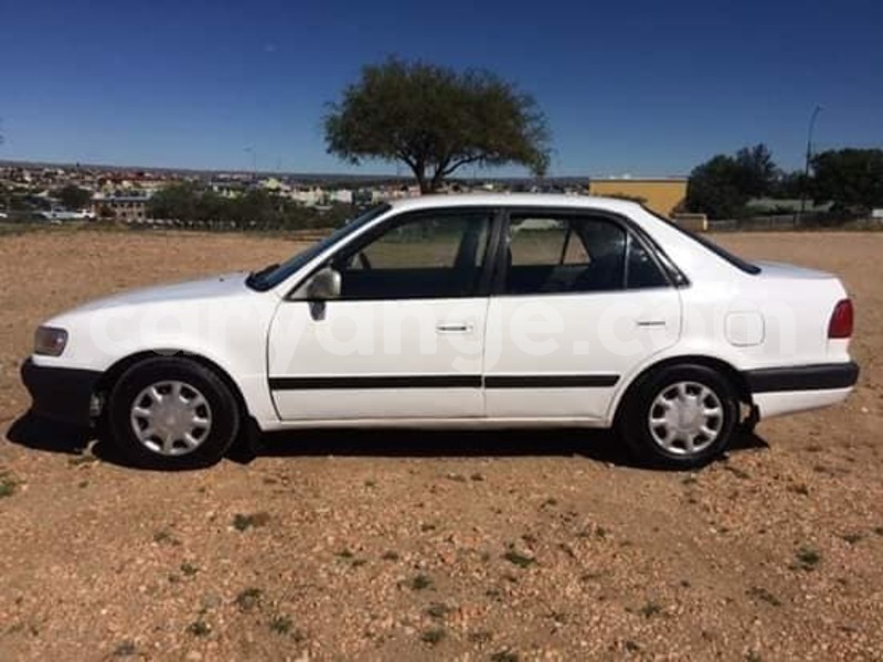 Big with watermark 58382438 211371343157679 312744017957748736 n