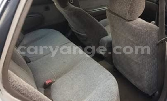 Acheter Occasion Voiture Toyota Corolla Gris à Windhoek, Namibie Acheter Occasion Voiture Toyota Corolla Gris à Windhoek, Namibie