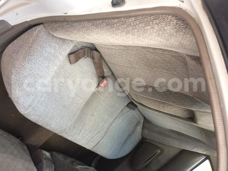 Big with watermark 57314193 209886229972857 7946700043275206656 n