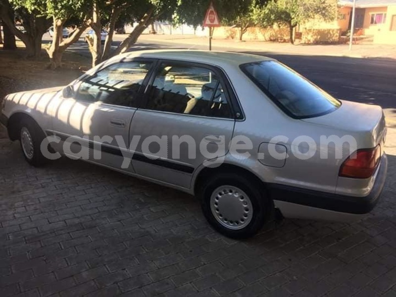 Big with watermark 57438130 209886076639539 2819908005649186816 n