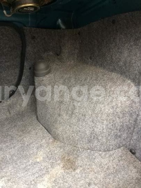 Big with watermark 55590218 205561523738661 8904096911238103040 n