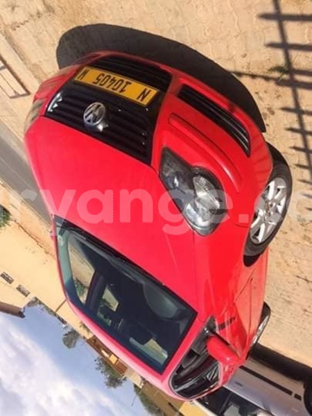 Big with watermark 56361710 205070833787730 5044010726293766144 n