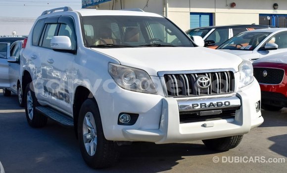 Buy Import Toyota Prado White Car in Import - Dubai in Namibia Buy Import Toyota Prado White Car in Import - Dubai in Namibia