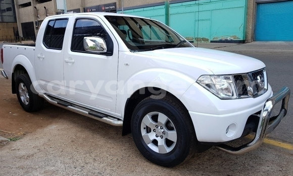 Buy Used Nissan Navara White Car in Windhoek in Namibia Buy Used Nissan Navara White Car in Windhoek in Namibia