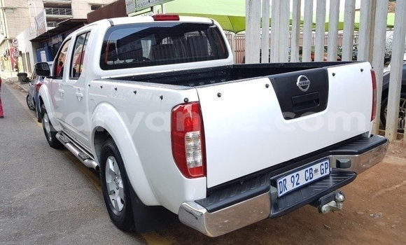 Buy Used Nissan Navara White Car in Windhoek in Namibia Buy Used Nissan Navara White Car in Windhoek in Namibia