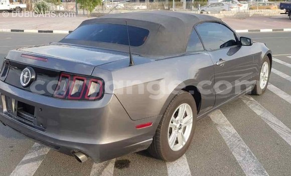 Acheter Import Voiture Ford Mustang Autre à Import - Dubai, Namibie Acheter Import Voiture Ford Mustang Autre à Import - Dubai, Namibie