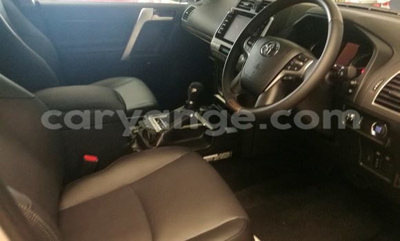 Buy Used Toyota Prado White Car in Bethanien in Karas Buy Used Toyota Prado White Car in Bethanien in Karas
