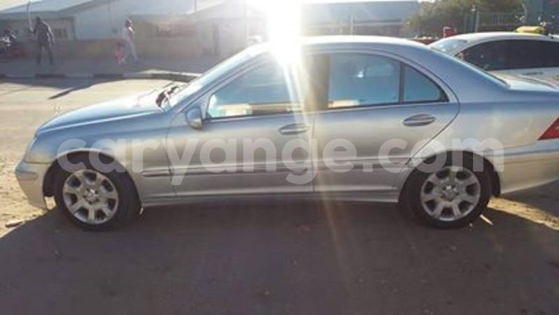 Big with watermark 14361282 1124790234235133 2594489126237502130 o