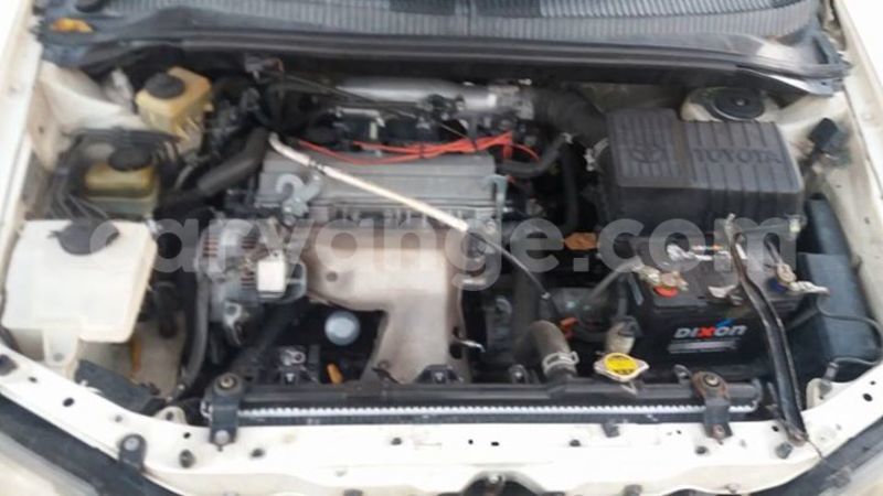 Big with watermark 14324596 10209113455147535 4826326470268354662 o