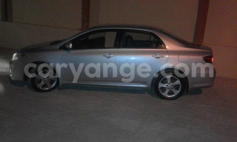 Big with watermark 14355616 1652943051684902 3641046762615807478 n