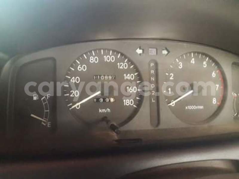 Big with watermark 14324596 10209113455147535 4826326470268354662 o