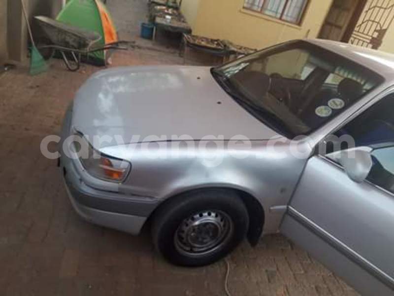 Big with watermark 14344360 195243170887525 1476089703380270021 n