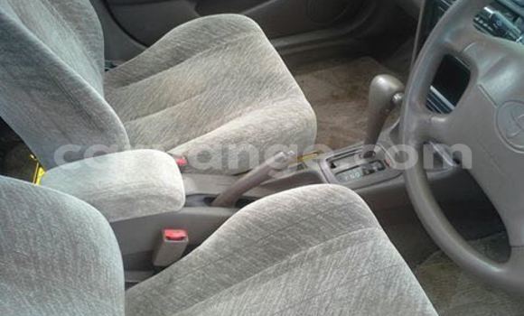 Buy Used Toyota Corolla White Car in Windhoek in Namibia Buy Used Toyota Corolla White Car in Windhoek in Namibia