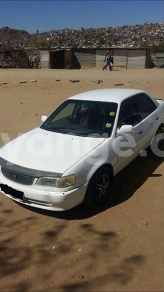 Big with watermark 14324596 10209113455147535 4826326470268354662 o