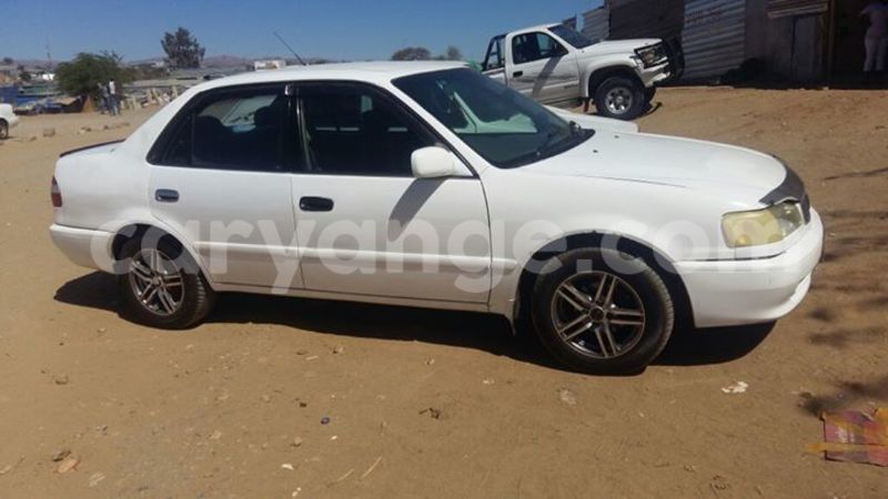 Big with watermark 14322753 152041765249206 4084601271133145777 n