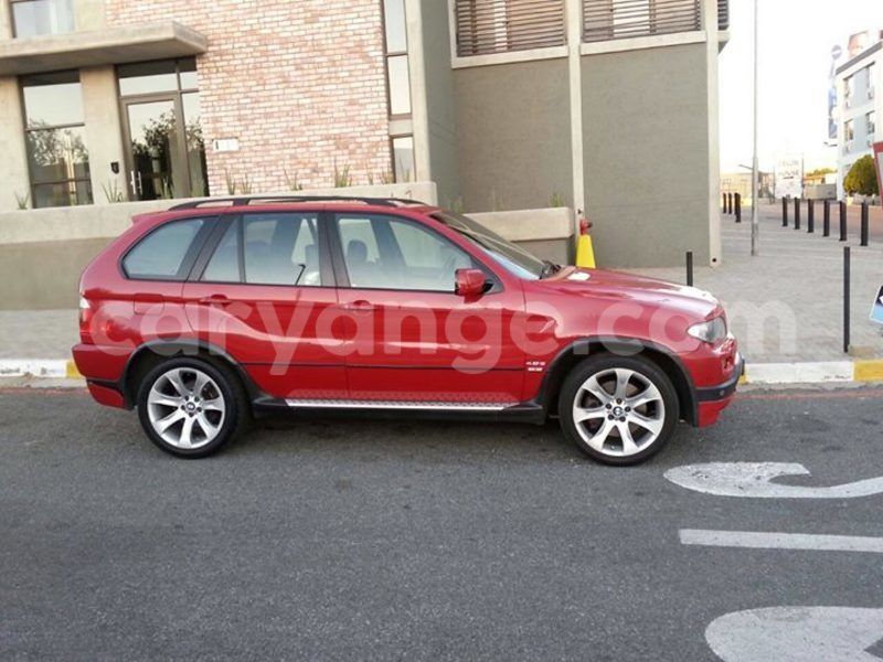 Big with watermark 14322753 152041765249206 4084601271133145777 n