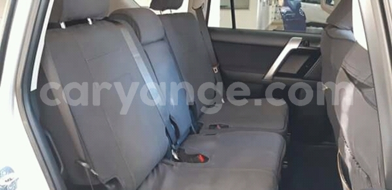 Big with watermark fb img 15567897081600896