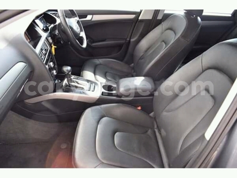 Big with watermark fb img 15567930730616265