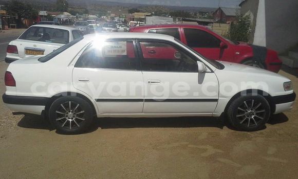Buy Used Toyota Corolla White Car in Windhoek in Namibia