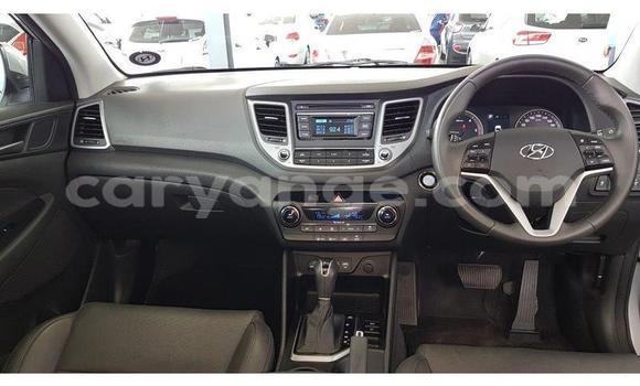 Acheter Occasion Voiture Hyundai Tucson Gris à Swakopmund, Namibie Acheter Occasion Voiture Hyundai Tucson Gris à Swakopmund, Namibie