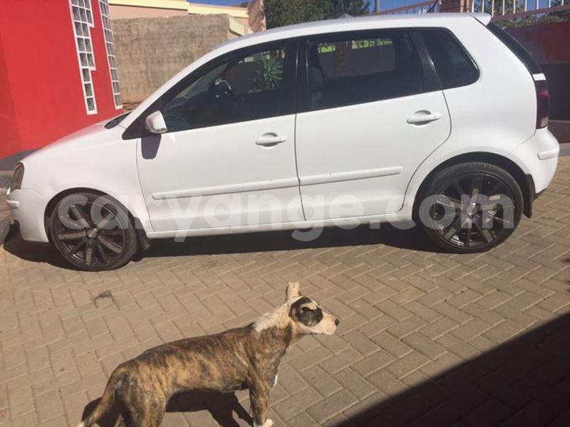 Big with watermark 14322753 152041765249206 4084601271133145777 n