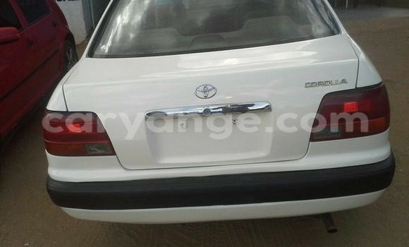 Buy Used Toyota Corolla White Car in Windhoek in Namibia Buy Used Toyota Corolla White Car in Windhoek in Namibia