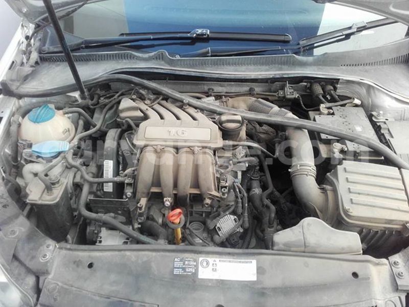 Big with watermark 14344360 195243170887525 1476089703380270021 n