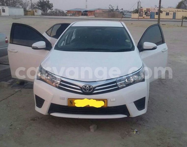 Big with watermark 14322753 152041765249206 4084601271133145777 n