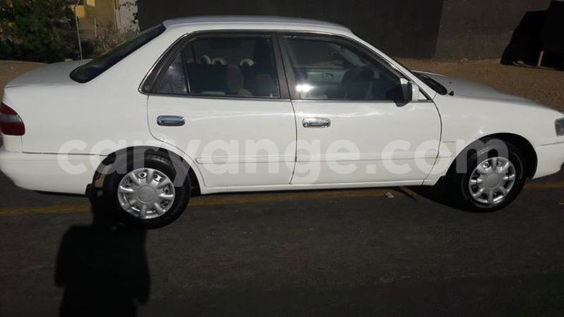 Big with watermark 14322753 152041765249206 4084601271133145777 n