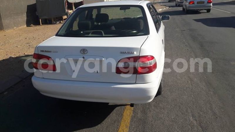 Big with watermark 14324596 10209113455147535 4826326470268354662 o