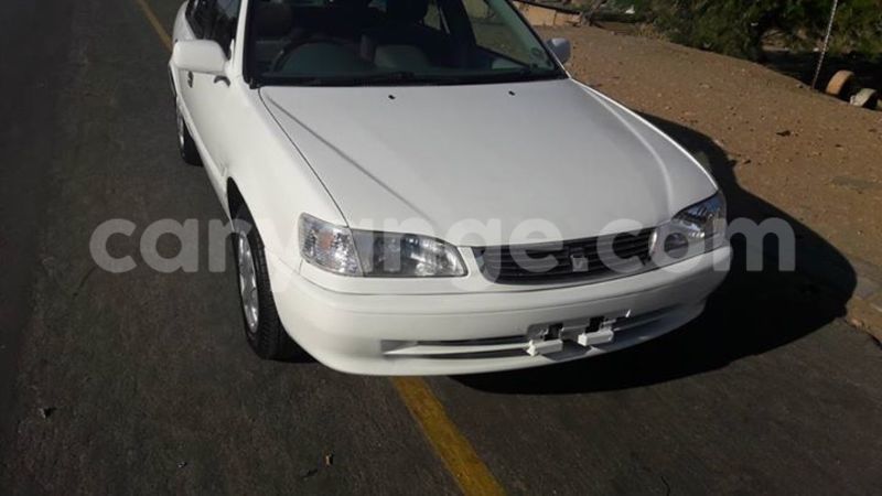 Big with watermark 14344360 195243170887525 1476089703380270021 n