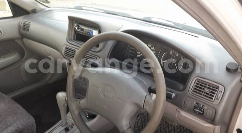 Big with watermark 14355616 1652943051684902 3641046762615807478 n