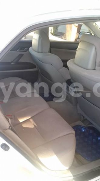 Big with watermark 14322753 152041765249206 4084601271133145777 n