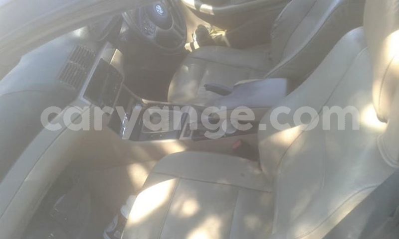 Big with watermark 59051881 2439575716063099 8152573274769850368 n 1 