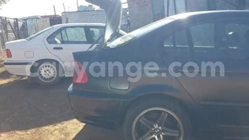 Big with watermark 49719632 2266240610063278 587827168503922688 n