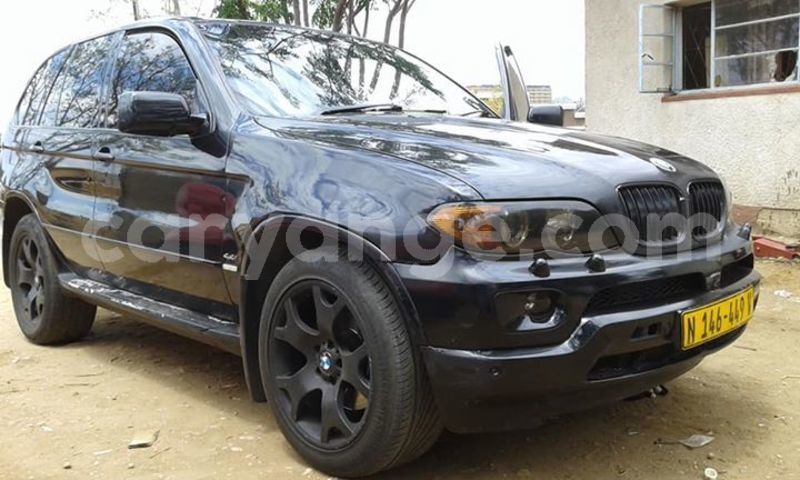 Big with watermark 48378752 2234224556598217 8242587860784381952 n