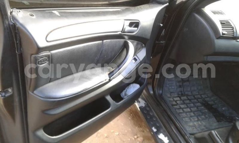 Big with watermark 49051932 2234224829931523 3040178581700345856 n