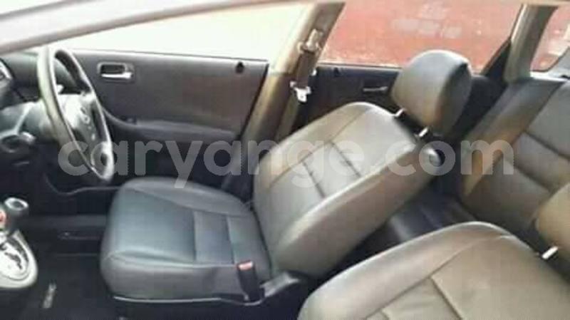 Big with watermark 57407372 2139394339513640 7998095331336126464 n