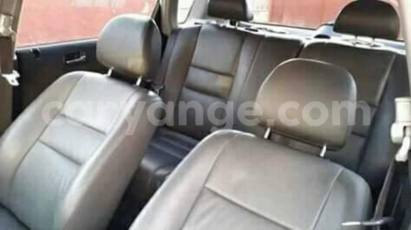 Big with watermark 59624623 2139394326180308 6838371466115809280 n