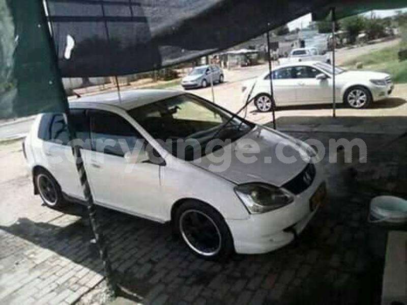 Big with watermark 58870160 2139394312846976 1912129030841171968 n