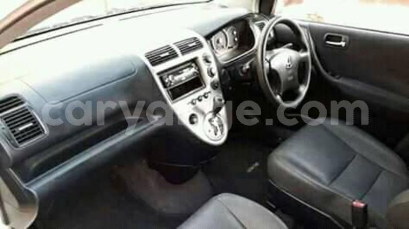 Big with watermark 58599094 2139394269513647 4546497232441966592 n