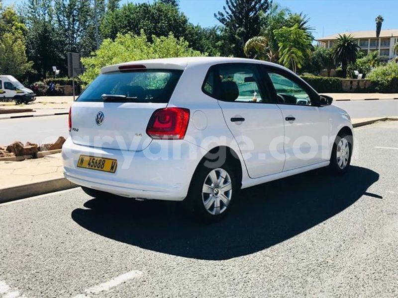 Big with watermark 58443584 2687338154616426 8817421731015688192 n