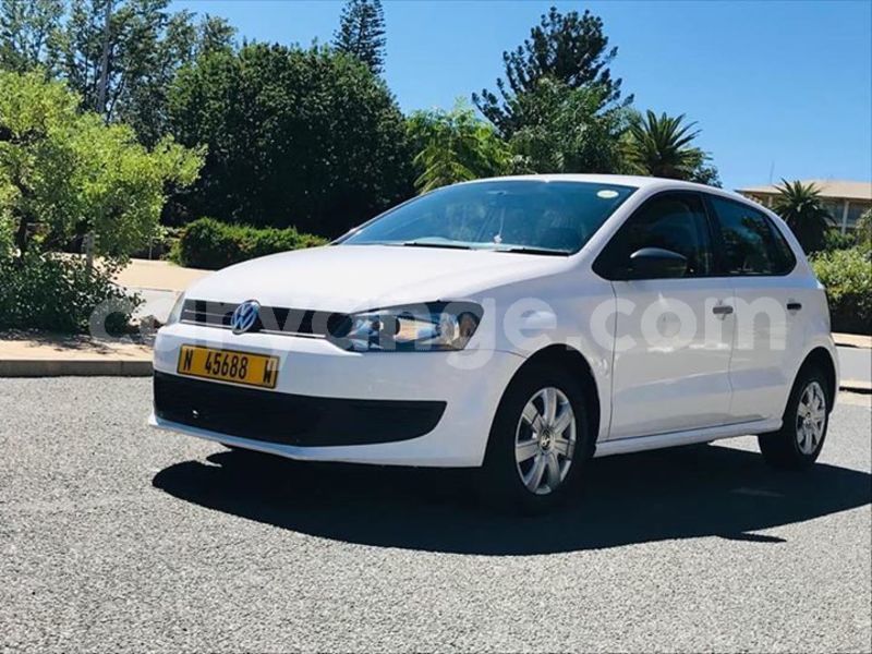 Big with watermark 58663948 2687338131283095 3289124489723379712 n