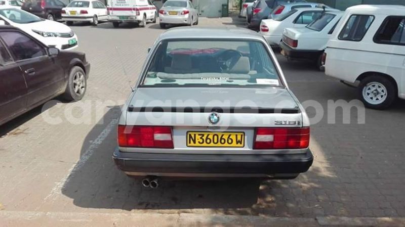 Big with watermark 14322753 152041765249206 4084601271133145777 n