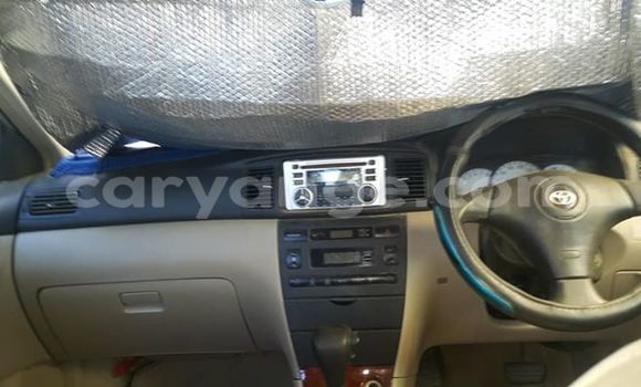 Acheter Occasion Voiture Toyota Runx Gris à Windhoek, Namibie Acheter Occasion Voiture Toyota Runx Gris à Windhoek, Namibie