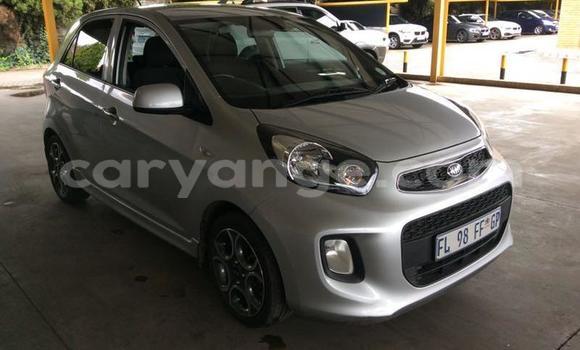 Buy Used Kia Picanto Other Car in Maltahohe in Hardap Buy Used Kia Picanto Other Car in Maltahohe in Hardap