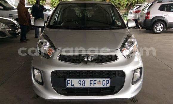 Buy Used Kia Picanto Other Car in Maltahohe in Hardap Buy Used Kia Picanto Other Car in Maltahohe in Hardap