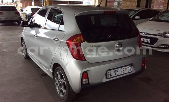 Buy Used Kia Picanto Other Car in Maltahohe in Hardap Buy Used Kia Picanto Other Car in Maltahohe in Hardap