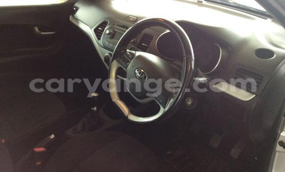 Buy Used Kia Picanto Other Car in Maltahohe in Hardap Buy Used Kia Picanto Other Car in Maltahohe in Hardap