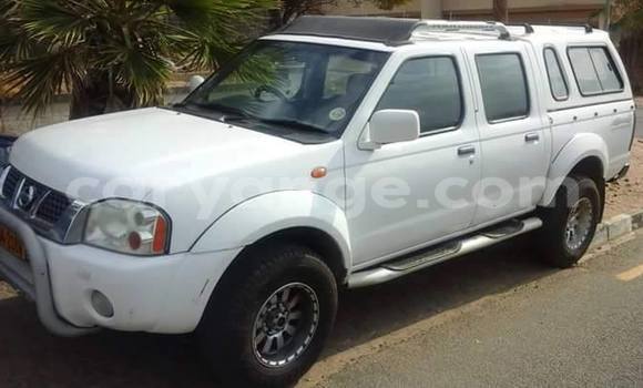 Buy Used Nissan Hardbody Black Car in Windhoek in Namibia Buy Used Nissan Hardbody Black Car in Windhoek in Namibia